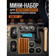 МИНИ-НАБОР ДЛЯ экспресс ремонта прокола/пореза шины ESB-01